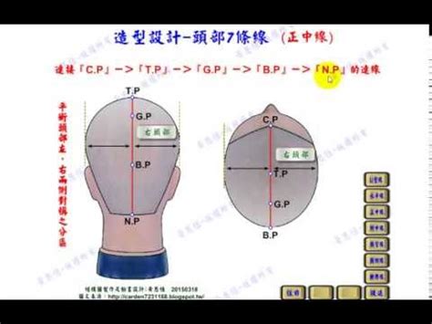 頭部七條基準線中，側頭線是|黃思恒編製數位美髮影片